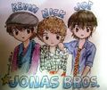 jonas brothers 4ever!!! - the-jonas-brothers photo