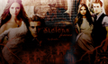 stelena - the-vampire-diaries photo