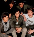 there sooo cute! I love them!! - one-direction photo