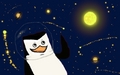 well hello moon  - penguins-of-madagascar fan art