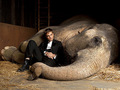 "Water For Elephants" Stills - robert-pattinson photo