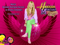 hannah-montana - Hannah Montana Forever Exclusive Merchandise  Wallpapers by dj!!! wallpaper