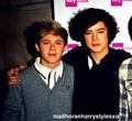 Niall and Harryxxx - one-direction photo