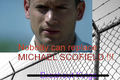 Nobody can replace MICHAEL SCOFIELD !!! Get lost Breakout Kings - wentworth-miller fan art
