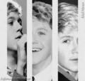 cutie Niall!!!! - one-direction photo