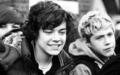 harry and niall!!!! - one-direction photo