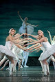 Ballet - ballet photo