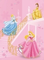 Cinderella,Belle and Aurora - disney-princess photo
