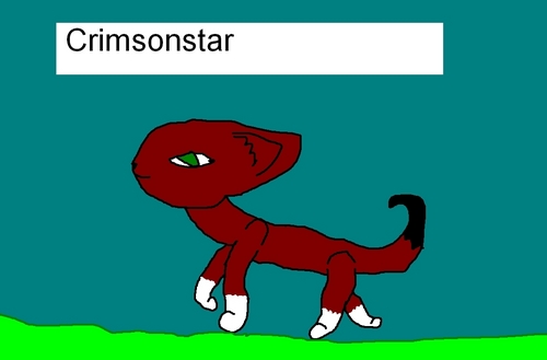  Crimsonstar