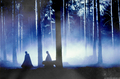 The forbidden forest :)) - harry-potter photo