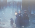 The forbidden forest :)) - harry-potter photo