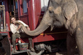HQ Water For Elephants pics - robert-pattinson photo