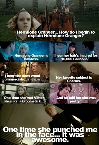  How do I begin to explain Hermione Granger...