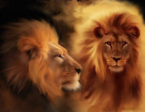 Lovely Lions