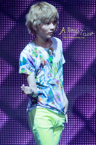 Taemin at SHINee The 1st Concert in Korea 110102