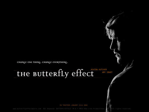  The vlinder Effect