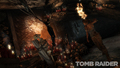 Tomb Raider  - video-games photo