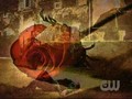 'rain and roses' simple and elegant images of TVD  - the-vampire-diaries fan art