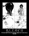 Bleach  - bleach-anime photo