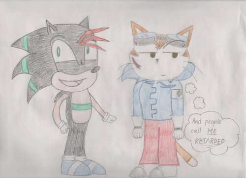 Blinx does not approve Sonic Recolors