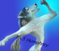 DO U <3 HUMPHREY? - alpha-and-omega fan art