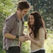 Edward & Bella icon - twilight-series icon