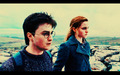 Hermione & Harry - hermione-granger fan art