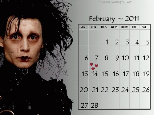  Johnny - February 2011 (calendar - as Edward Scissorhands)