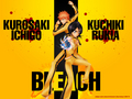 Kill Bill Bleach - bleach-anime photo