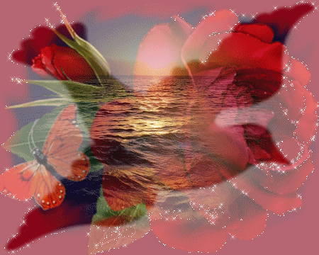 red roses - Daydreaming Fan Art (18395043) - Fanpop