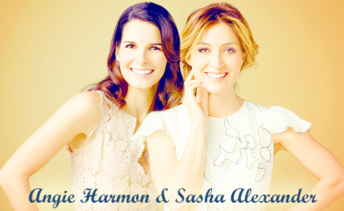 rizzoli&isles banners by campi