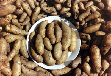 Alomnd Potato