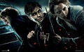 Deathly Hallows  - harry-potter photo