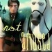 Flynn and Max - tangled icon