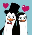 For you MsKowalski99 =) - penguins-of-madagascar fan art