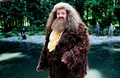 Hagrid :)) - harry-potter photo