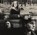 Harry Potter. - harry-potter fan art