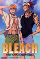 Ichigo and Renji - bleach-anime photo