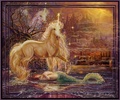 Mermaid And Unicorn - fantasy photo