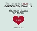 Quotes by Sirius <3  - sirius-black fan art
