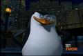 penguins-of-madagascar - Skipper kun 8) screencap