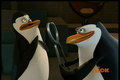 penguins-of-madagascar - Why Kowalski Hates the Dentist? screencap