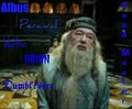 dumbledore - harry-potter photo