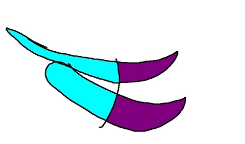  eilly's symbol
