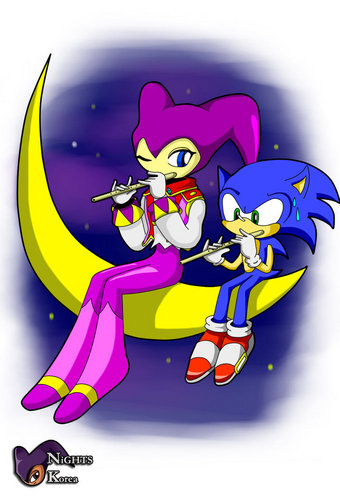 sonic and nights