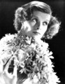 A rose among the daisies - classic-movies photo