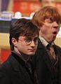 Dan :)) *Look at Rupert's face!!!* - harry-potter photo