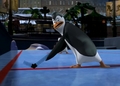 penguins-of-madagascar - HEEEEEEEEY!!! D:< screencap