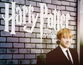 Rupert :)) - harry-potter photo