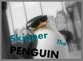 penguins-of-madagascar - Skipper the Penguin XD screencap